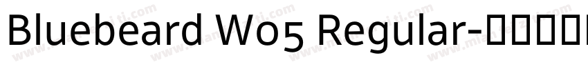 Bluebeard W05 Regular字体转换
